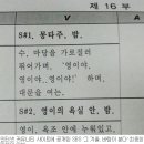 대본