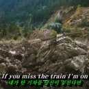 멜로디홍