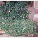 옹기목장 이미지