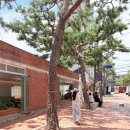 (주)주빅스 | VA 빅스터드 볼캡 리뷰 – 바잘모자 여름 데일리룩으로 추천