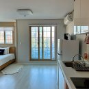 푸조와곰솔 이미지