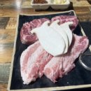 피그트램 이미지