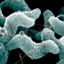 ACE동물병원 이미지