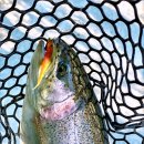 설악낚시터 이미지