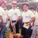 메이데이 이미지