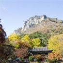 만추