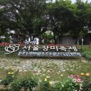 태릉역 8번출구 중랑구 서울 장미축제 다녀온 후기 🌹