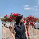 잉꼬결혼 이미지