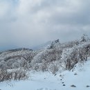 평매마을 | 苦寒吟 (고한음) - 李衍宗 (이연종)