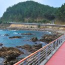 한국의 아름다운길 100선 선정 파도 옆을 달리는 4.6Km 해안 드라이브 코스 이미지