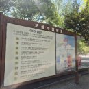 폭포가 있는 캠핑장 | 가평 차박 캠핑장) 계곡 옆 애견동반 가능한 "또올래캠핑장"