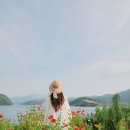스타 무인텔 | 보령 숙소 무창포 스타무인텔 독채같은 모텔 숙박