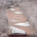 CRANE WORLD 이미지