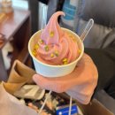 혜화 고기구워주는 맛집 | 삼안갈비촌 후기 | 고추장삼겹살 개맛있잖음;;