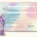디자인솔트 이미지