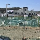 길조식당 네이버블로그