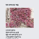 소주고개농장 이미지