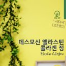 (전신탄력99.9%복구)데스모신 엘라스틴정 이미지