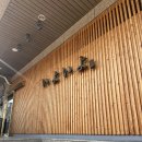 1호스시 | 공덕 오마카세 | 인생 역대급 가성비 오마카세 이요이요스시 공덕 1호점 내돈내산 미친 후기