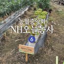 농협중앙회 | [서포터즈] 농협중앙회 NH오늘농사 영농일지 사용후기 4개월 농사 텃밭일지