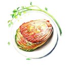 (주)에스엘미러텍 이미지