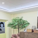 사파동204 이미지