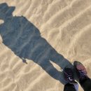 삼풍목장 이미지