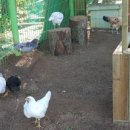 현인농장 이미지