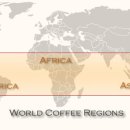 World map of coffee producing countries 이미지