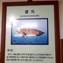 초시토속식당 이미지