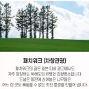 플라워로드