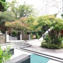 개나리공인중개사 이미지