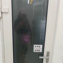 페이지스 | 신촌보컬학원 페이지스피드보컬기타 방문 후기