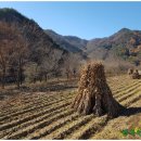 판운1리마을회관 이미지