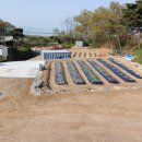 별립산농장 이미지