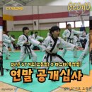 우리해동검도 | 24년 연말공개심사! 고읍동의 중심! GT거호 합기도 해동검도