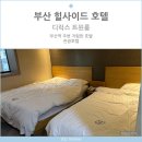 힐사이드모텔 | 부산 힐사이드 호텔 디럭스트윈룸 솔직후기
