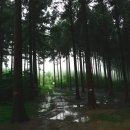 보물창고할인매장 이미지