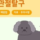 상암동물병원 이미지