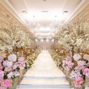 밀리토피아 호텔 바이마린 이미지