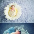 (주)아트본