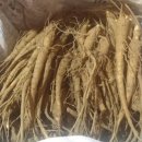 주미 농장 이미지