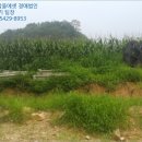 삼거2리 마을회관 이미지