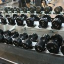 더블유짐 휘트니스 이미지