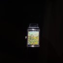 스토리팩토리