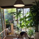 애니스 라자냐 이미지