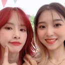 케이스텔라 이미지