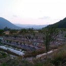 솔바우농장 이미지