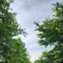 휴(休) 로드, 자전거로 한 바퀴, 팔당 물안개공원