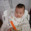 더 오물오물 | 시판이유식 클레와 함께 후기이유식 시작